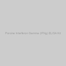 Image of Porcine Interferon Gamma (IFNg) ELISA Kit